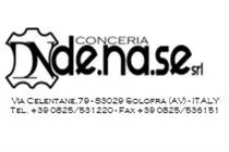 DE.NA.SE. Srl.