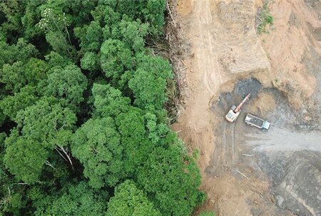 Deforestation due diligence and traceability explained